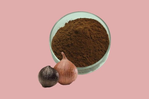 تصویر 1 از خرید و قیمت پودر سیر سیاه + فروش صادراتی